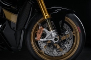 3 Ducati Streetfighter V4 S 100 (5)