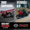 1 FIM Harley-Davidson Bagger World Cup (4)