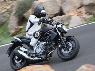 Suzuki Gladius: následovník SV