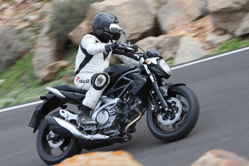 Suzuki Gladius: následovník SV - 2 - Gladius885I73604