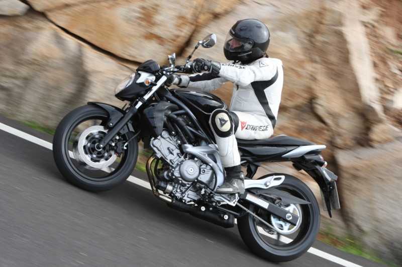Suzuki Gladius: následovník SV - 3 - GladiusSuzuki Gladius7