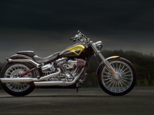 Harley-Davidson slaví 110 let stylově