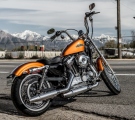 HD2014 HD2014 rushmore-1xl1200v-112