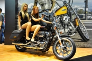 1 Harley-Davidson Motosalon08