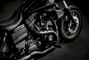 2 Harley Davidson 2016 Low Rider S02