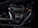 1 Harley Davidson 30th Anniversary Fat Boy 2020 (1)
