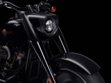 1 Harley Davidson 30th Anniversary Fat Boy 2020 (3)