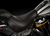 1 Harley Davidson Fat Boy Gray Ghost (11)