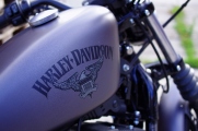 1 Harley Davidson Iron 883 2016 test08
