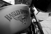 1 Harley Davidson Iron 883 2016 test11