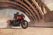 1 Harley Davidson Low Rider El Diablo (11)