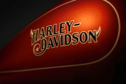 1 Harley Davidson Low Rider El Diablo (6)