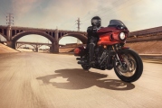 1 Harley Davidson Low Rider El Diablo (9)