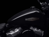 1 Harley Davidson Softail Standard 2020 (2)