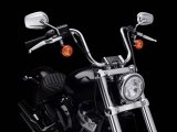 1 Harley Davidson Softail Standard 2020 (4)