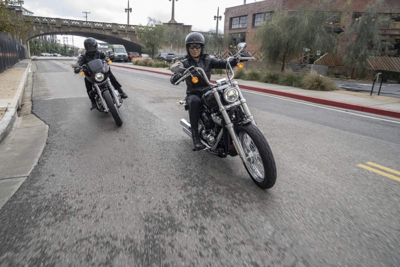 Harley-Davidson Softail Standard 2020: stylový bobber - 1 - 1 Harley Davidson Softail Standard 2020 (7)