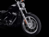 1 Harley Davidson Softail Standard 2020 (6)