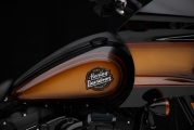 1 Harley Davidson Tobacco Fade Low Rider ST (3)