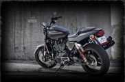 Harley Davidson XR1200X07