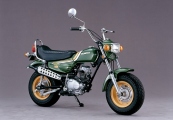 1 Honda 1973 CY50 Nauty Dax (1)