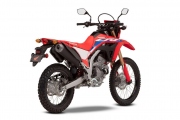 1 Honda CRF 300L (5)