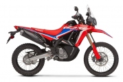 1 Honda CRF 300 Rally (1)