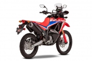 1 Honda CRF 300 Rally (6)