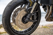 1 Honda Customs 2026 Sting Honey (1)