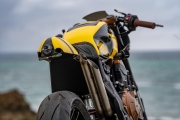 1 Honda Customs 2026 Sting Honey (4)