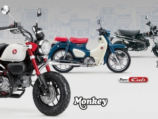 Honda Dax, Monkey a Super Cub C125: nové barvy pro rok 2025