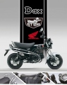 1 Honda Dax ST125 2025 (3)