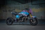 1 Honda Grom Hold On!  (6)