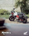 1 Honda Monkey 125 2025 (1)
