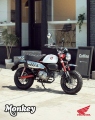 1 Honda Monkey 125 2025 (2)