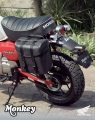 1 Honda Monkey 125 2025 (3)