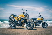 1 Honda_Monkey_Kong_and_Yellow_Monkey (1)