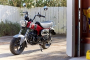 1 Honda ST125 Dax (15)