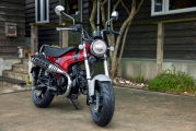 1 Honda ST125 Dax (1)