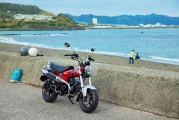 1 Honda ST125 Dax (22)