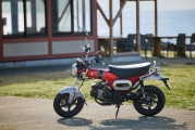 1 Honda ST125 Dax (5)