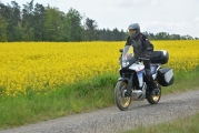 1 Honda XL750 Transalp test (31)