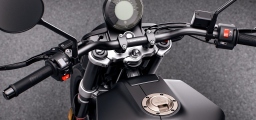 1 Husqvarna Svartpilen 701 (17)