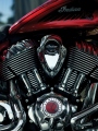 1 Indian Chieftain Elite08