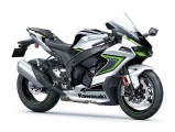 1 Kawasaki Ninja ZX-10R 2023 (9)