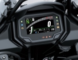 1 Kawasaki Versys 650 2022 (6)