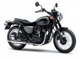 1 Kawasaki W800 Street (13)