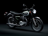 1 Kawasaki W800 (31)