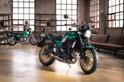 1 Kawasaki Z650RS 2022 (15)