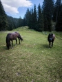 1 Kemp Camping Menina Slovinsko (10)