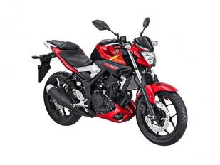 Yamaha MT-25: novinka odhalena v Indonesii